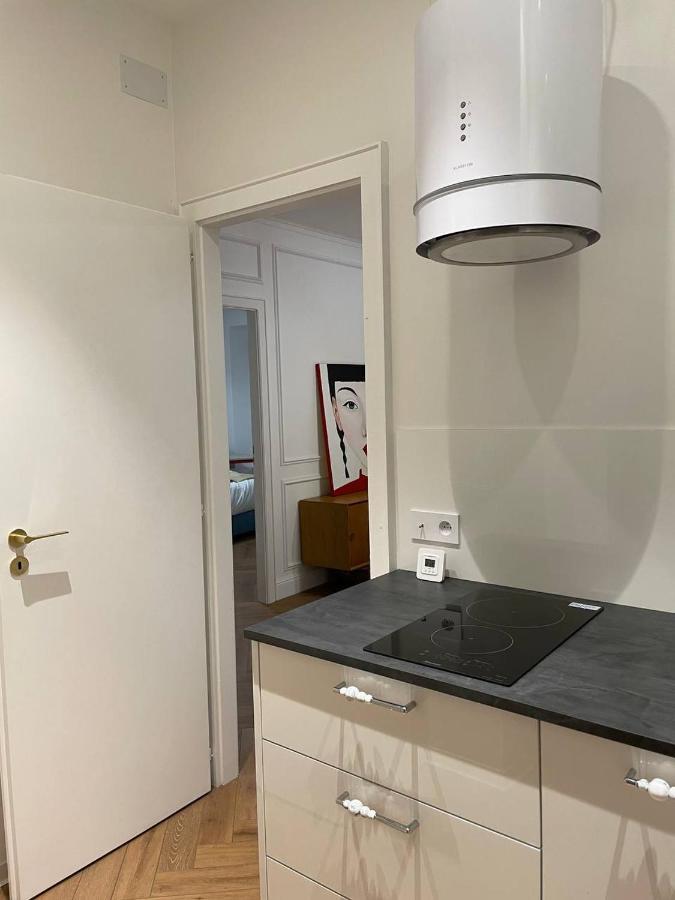 Appartement Luxueux Hyper Centre De Strasbourg Ngoại thất bức ảnh